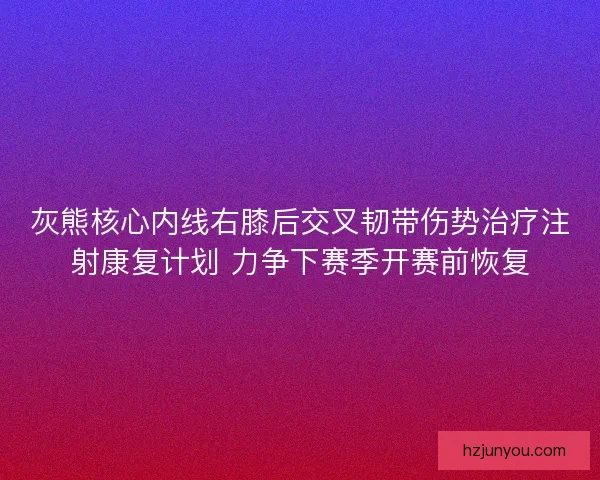 灰熊核心内线右膝后交叉韧带伤势治疗注射康复计划 力争下赛季开赛前恢复